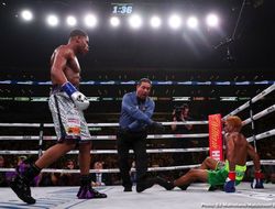 фото - Хэйни дерзит Ломаченко и готовится к операции