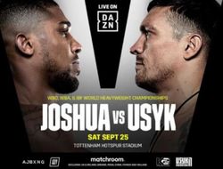 фото - Джошуа – Усик. Детальный разбор боя от Джо Джойса