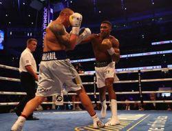 фото - Топ-5 хэвивейта от Роя Джонса. Говорит, «знал, что Усик накажет Джошуа»