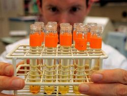 фото - Бои без правил. Самые громкие допинг-скандалы в боксе