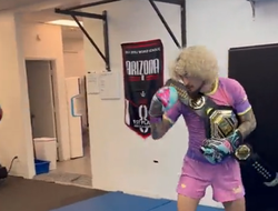 фото - Чемпиона UFC обозвали «подражателем Макгрегора». Он ответил