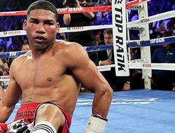 фото - Реакция Гамбоа на поражение и радость Кастейяноса: цитаты