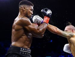 фото - Джошуа после Усика: когда и с кем следующий бой? Все варианты