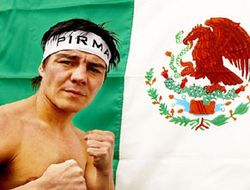 фото - Президент WBO советует Хорхе Арсе выбрать либо Донэйра, либо Васкеса