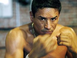 фото - Рафаэль Маркес травмирован, возвращение в ринг отложено