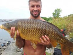 фото - Лучиан Буте объединил усилия с Фредди Роучем