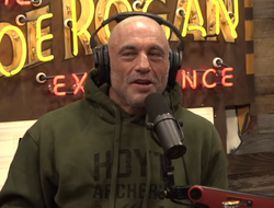 фото - Джо Роган: «Фьюри похож на Фёдора Емельяненко...»