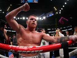 фото - Не Эндрэд: Альварес сомневается, что его следующим оппонентом станет чемпион WBO