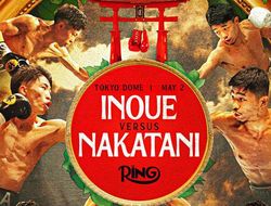 фото - Иноуэ – Накатани, Рамирес – Бенавидес. Дайджест главных боёв недели в боксе