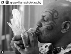 фото - Суровость Канело, нежность Тайсона, завтрак Бетербиева — соцсети