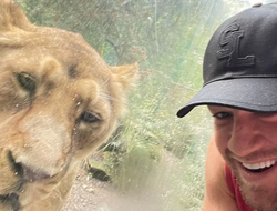 фото - Допинг-скандал: в UFC требуют извинений и опровержений от USADA, грозят иском