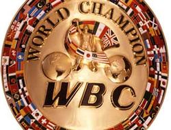 фото - Итоги года от WBC