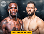 Полный кард UFC Fight Night 250: Адесанья-Имавов. Все бои шоу 1 февраля