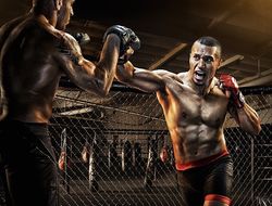 фото - Разнообразие ставок на ММА в букмекерской конторе Вулкан Бет