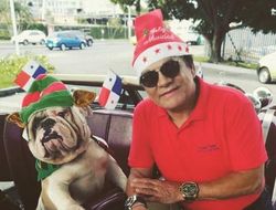 фото - Арум о Ломаченко, Головкин с Мунгуйей, Дюран нарядил пса — соцсети