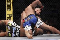 Видео боя: Габриэль Гонзага – Шон Джордан, HD 720