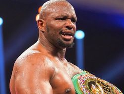 фото - Уайлдер может завершить карьеру после такого избиения — рассуждает Уайт