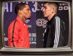 фото - Прямая трансляция Дэвис–Санта Крус: где и когда смотреть бой