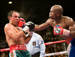 фото - Хуан Мануэль Маркес: «Сенсации в бою Мэйуэзер-Альварес не будет»