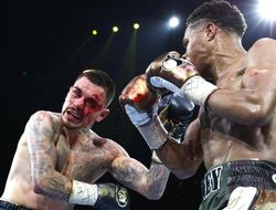 фото - Хэйни слишком умный для Ломаченко — Камбосос