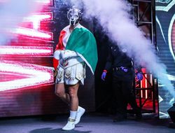 фото - Супертяжи-олимпийцы Вианелло и Нистор одержали домашние победы