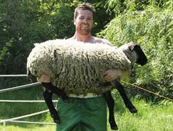 фото - Тимо Хоффман: «Хочу драться с Владимиром Кличко!»