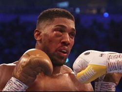 фото - Хочу взглянуть на “дорожную карту” Джошуа после двух поражений Усику — эксперт