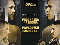 фото - UFC 295: Прохазка – Перейра. Результаты турнира