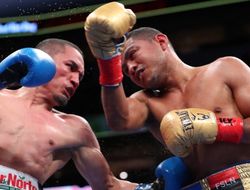 фото - Судья Карлос Сукре отстранён за бой Гонсалес – Эстрада 2