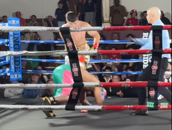 фото - Новицкий нокаутировал Сегарру, Плантич пообещал фанам Канело