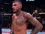 UFC Paris: Карнейро избил, травмировал и остановил Сен-Дени