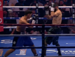 фото - Бивола ограбили судьи? Разные мнения Стивенсона, Гарсии и Хэйни