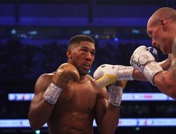 фото - Джошуа хочет размазать Усика и вернуть свои титулы — Фрэнк Смит