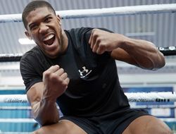 фото - Джошуа: Ломаченко и Кличко респект, они не набрасывают де**мо на вентилятор