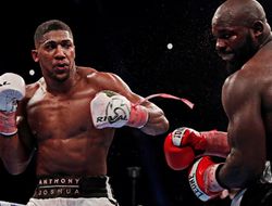 фото - Энтони Джошуа снова отбоксирует с Такамом: теперь в спаррингах