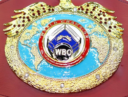 фото - Барбоса и Кэттеролл определят претендента для Теофимо Лопеса — решение WBO