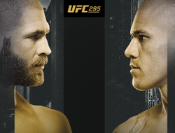 фото - Итоговая статистика боя Перейра – Прохазка на UFC 295