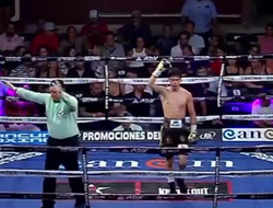 фото - Альварес, Куэльяр и Мора одержали по досрочной победе. Есть крутые нокауты: видео