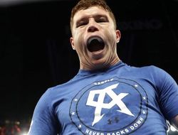 фото - Тринидад: Канело в этом весе без удара, с Головкиным это плохо