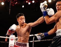 фото - ShoBox: The New Generation. Ли досрочно остановил Прието