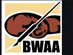 фото - Итоги года от BWAA: победили Иноуэ, Деревянченко и Хэйни