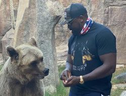 фото - Усик никого в супертяжах не пугает, нет у него удара — Чисора