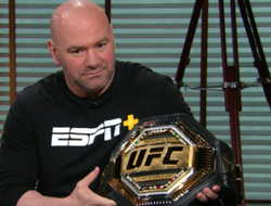 фото - Бой Ян Блахович - Алекс Перейра на UFC 291 будет титульным?