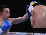 Дусматов, Агрба и Потапов — в декабрьском шоу от Shamo Boxing