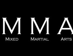 фото - Лучшие промоушены ММА: главное о главных