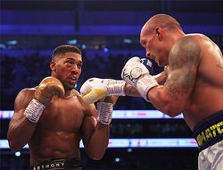 фото - Реакция боксёрской общественности на победу Усика над Джошуа