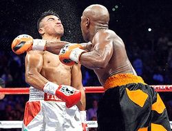 фото - Виктор Ортис пытается вытащить Мэйуэзера на реванш