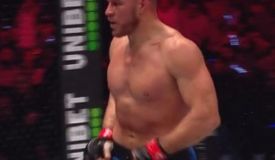 Немков задушил Феррейру, а Сайборг — Коллинз: видео