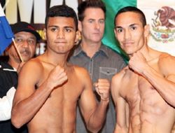 фото - Большой вечер бокса от Херна с Эстрадой, Гонсалесом и Мартинесом: 23 октября в Мексике — СМИ