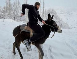 фото - Гиясову предложат бой за временный титул. Назван соперник